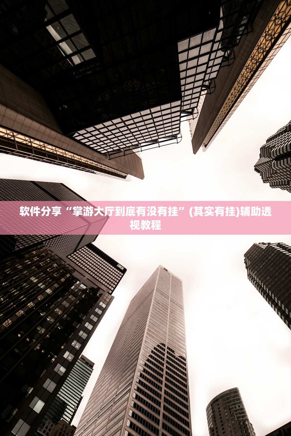 软件分享“掌游大厅到底有没有挂”(其实有挂)辅助透视教程