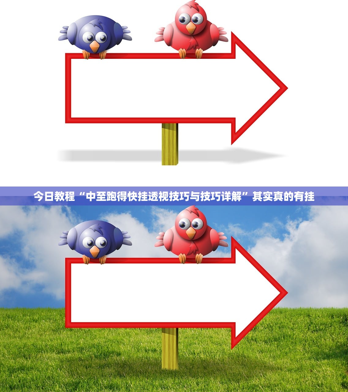 今日教程“中至跑得快挂透视技巧与技巧详解”其实真的有挂