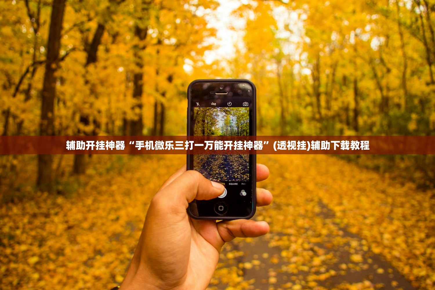 辅助开挂神器“手机微乐三打一万能开挂神器”(透视挂)辅助下载教程