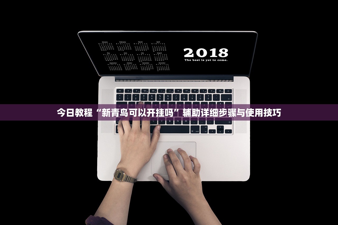 今日教程“新青鸟可以开挂吗”辅助详细步骤与使用技巧