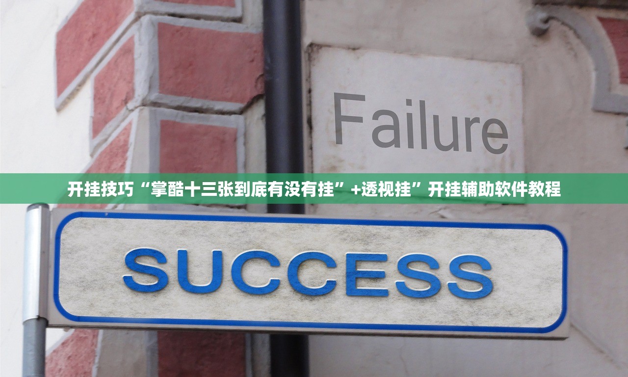 开挂技巧“掌酷十三张到底有没有挂”+透视挂	”开挂辅助软件教程
