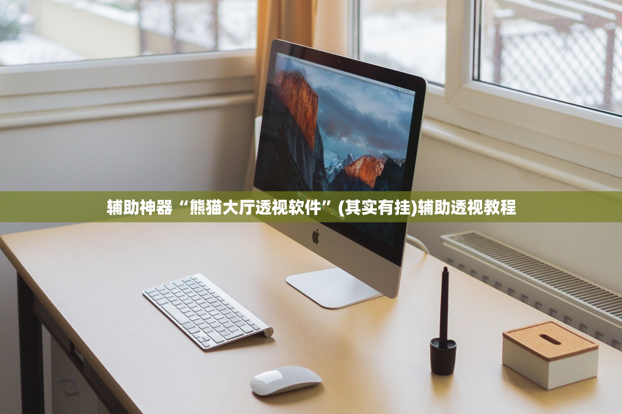 辅助神器“熊猫大厅透视软件”(其实有挂)辅助透视教程