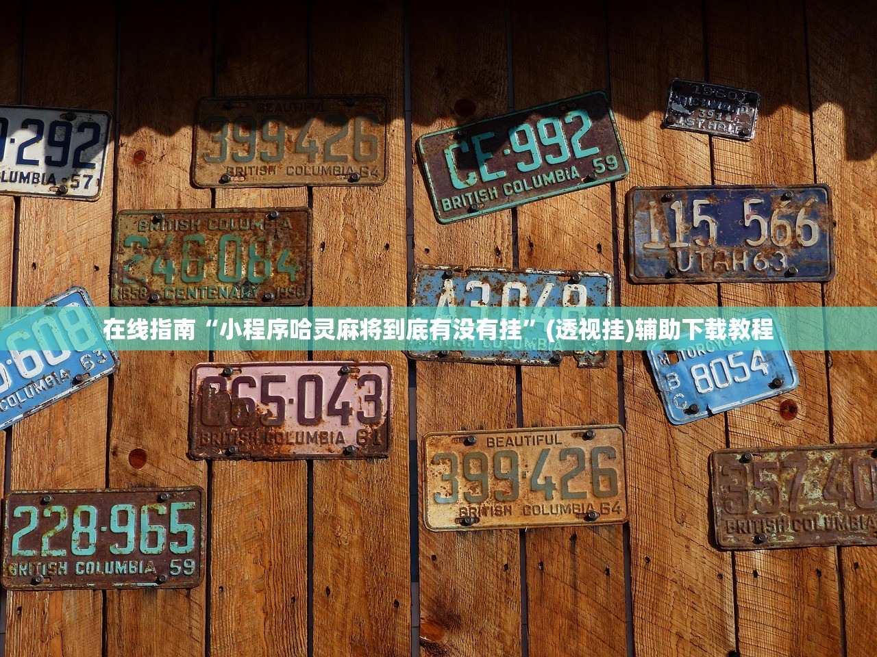 在线指南“小程序哈灵麻将到底有没有挂”(透视挂)辅助下载教程