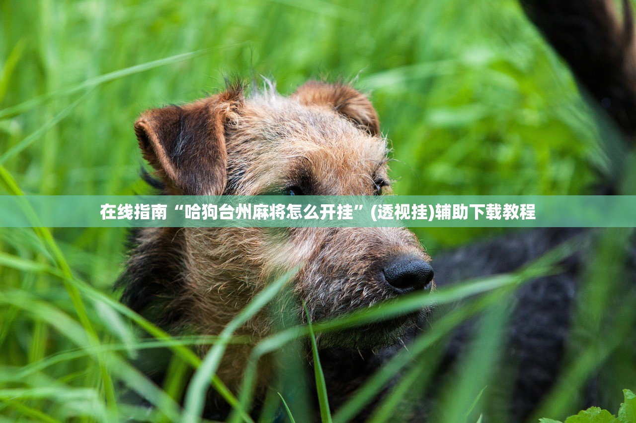 在线指南“哈狗台州麻将怎么开挂”(透视挂)辅助下载教程