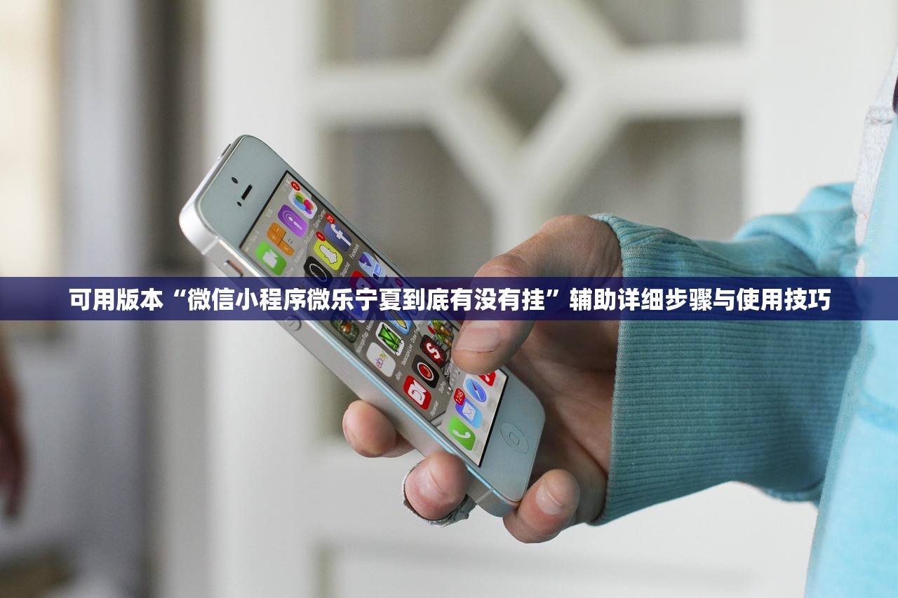 可用版本“微信小程序微乐宁夏到底有没有挂”辅助详细步骤与使用技巧