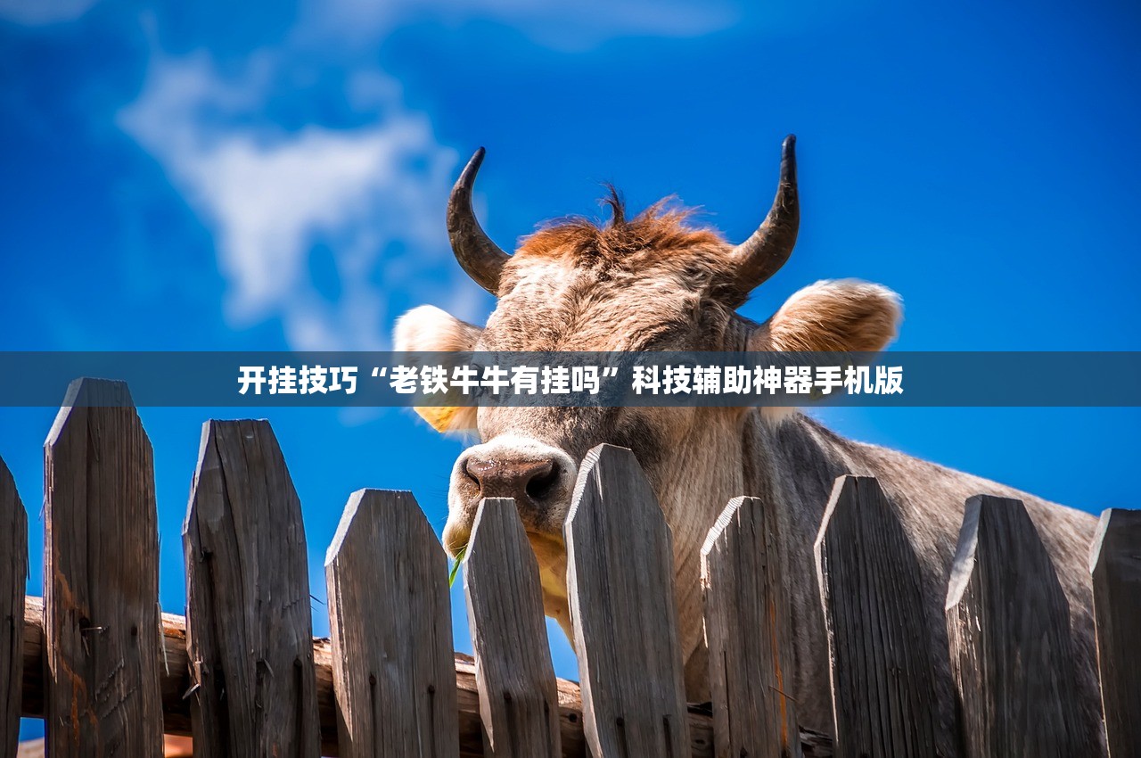 开挂技巧“老铁牛牛有挂吗”科技辅助神器手机版