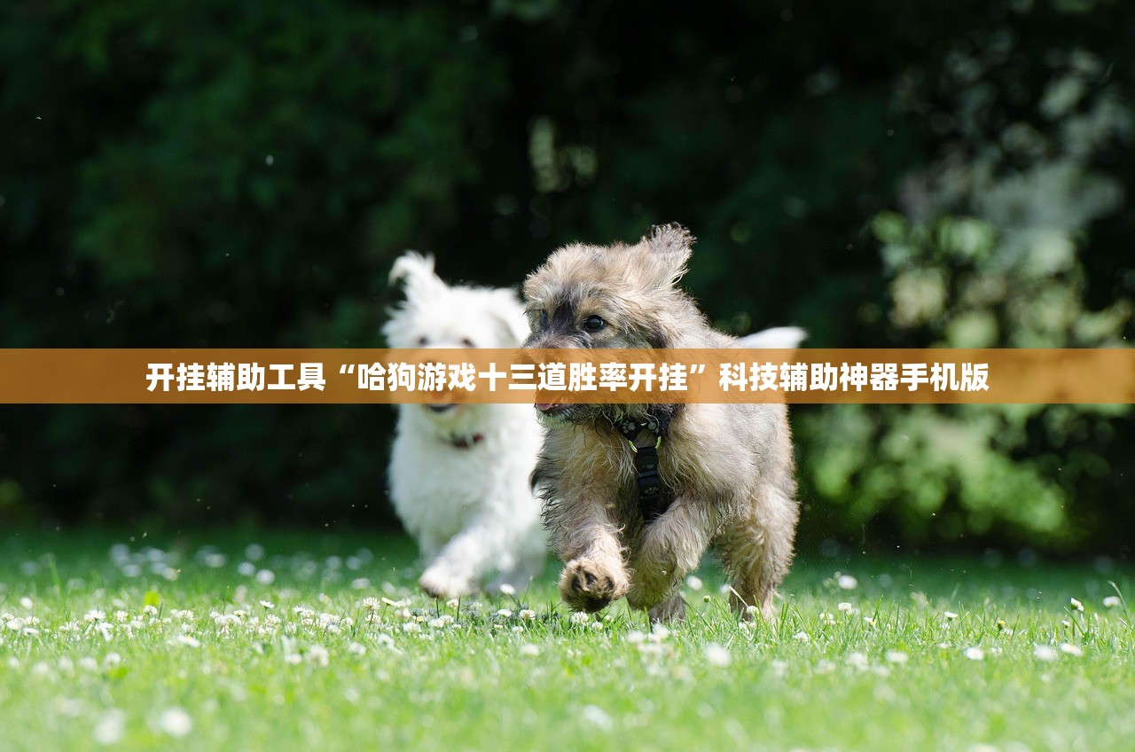 开挂辅助工具“哈狗游戏十三道胜率开挂”科技辅助神器手机版