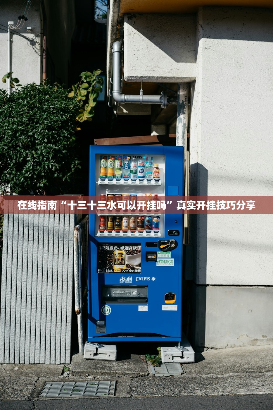 在线指南“十三十三水可以开挂吗”真实开挂技巧分享