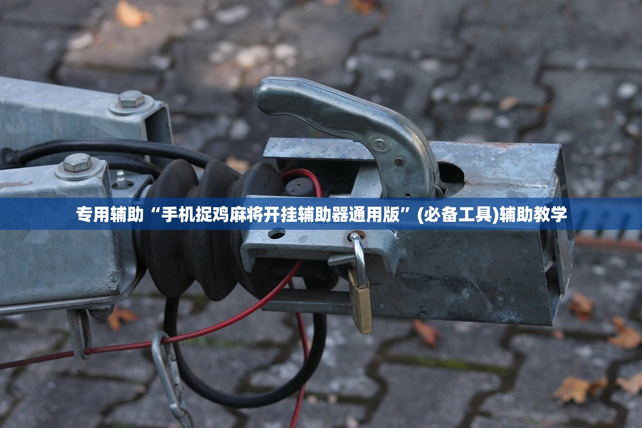 专用辅助“手机捉鸡麻将开挂辅助器通用版”(必备工具)辅助教学
