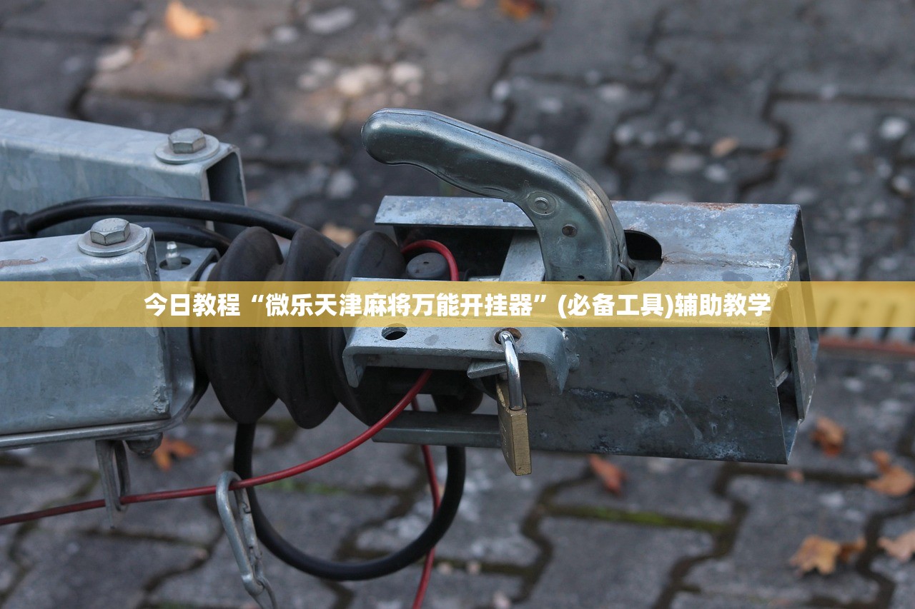 今日教程“微乐天津麻将万能开挂器”(必备工具)辅助教学