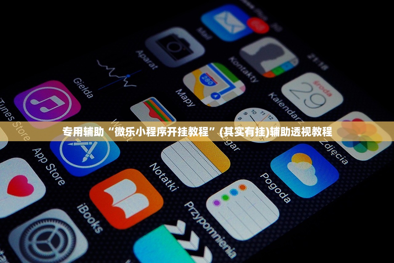 专用辅助“微乐小程序开挂教程”(其实有挂)辅助透视教程