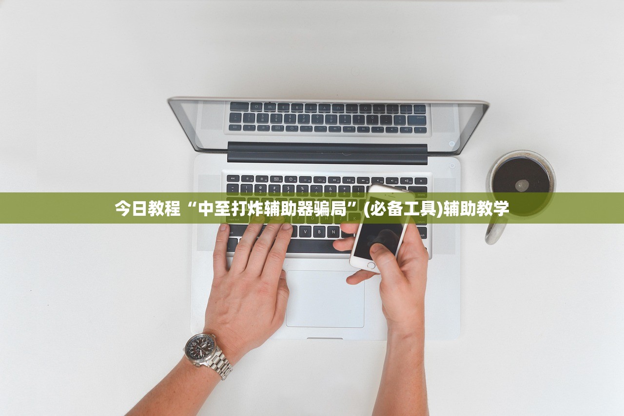今日教程“中至打炸辅助器骗局	”(必备工具)辅助教学