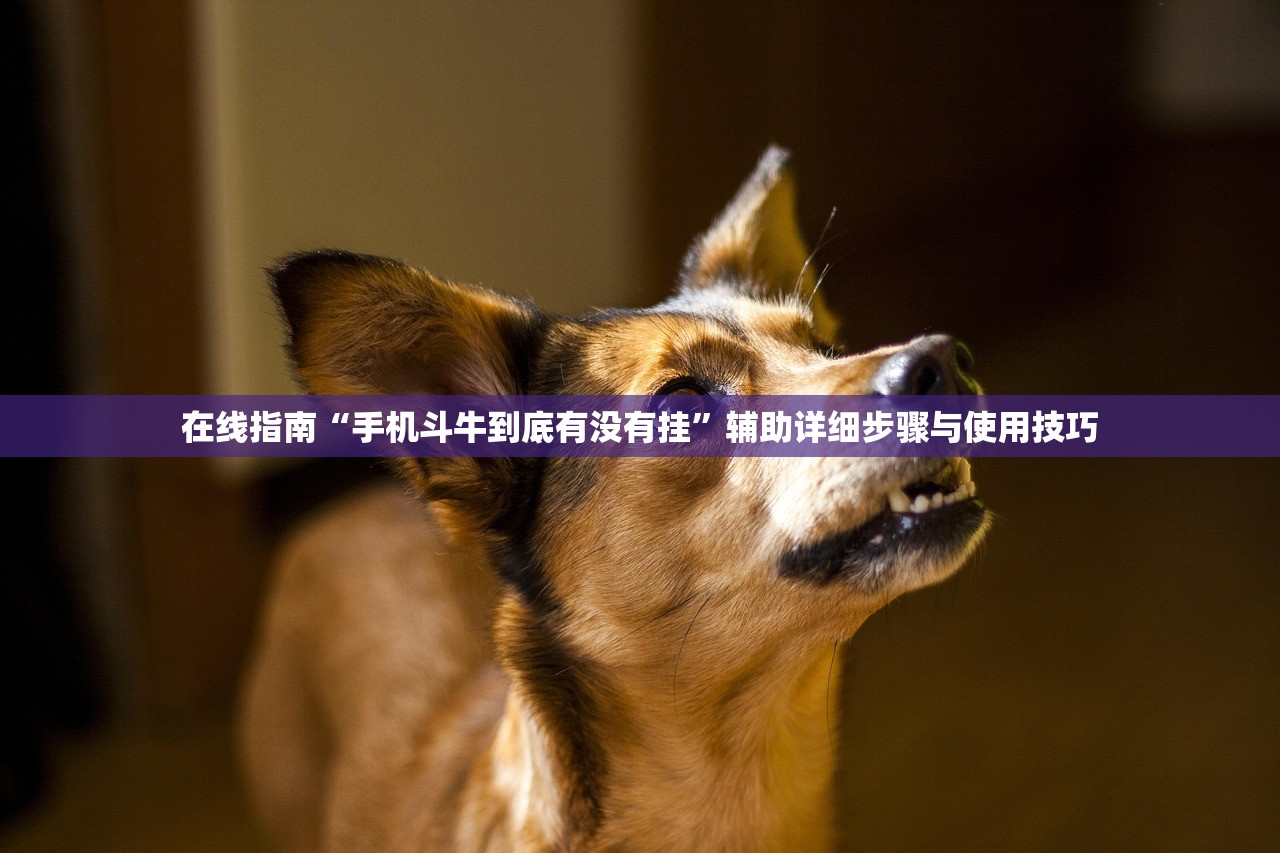 在线指南“手机斗牛到底有没有挂”辅助详细步骤与使用技巧