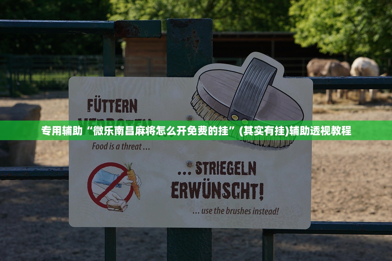 专用辅助“微乐南昌麻将怎么开免费的挂”(其实有挂)辅助透视教程