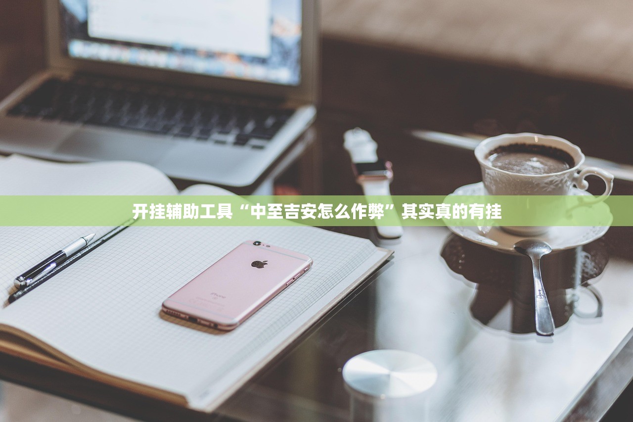 开挂辅助工具“中至吉安怎么作弊”其实真的有挂