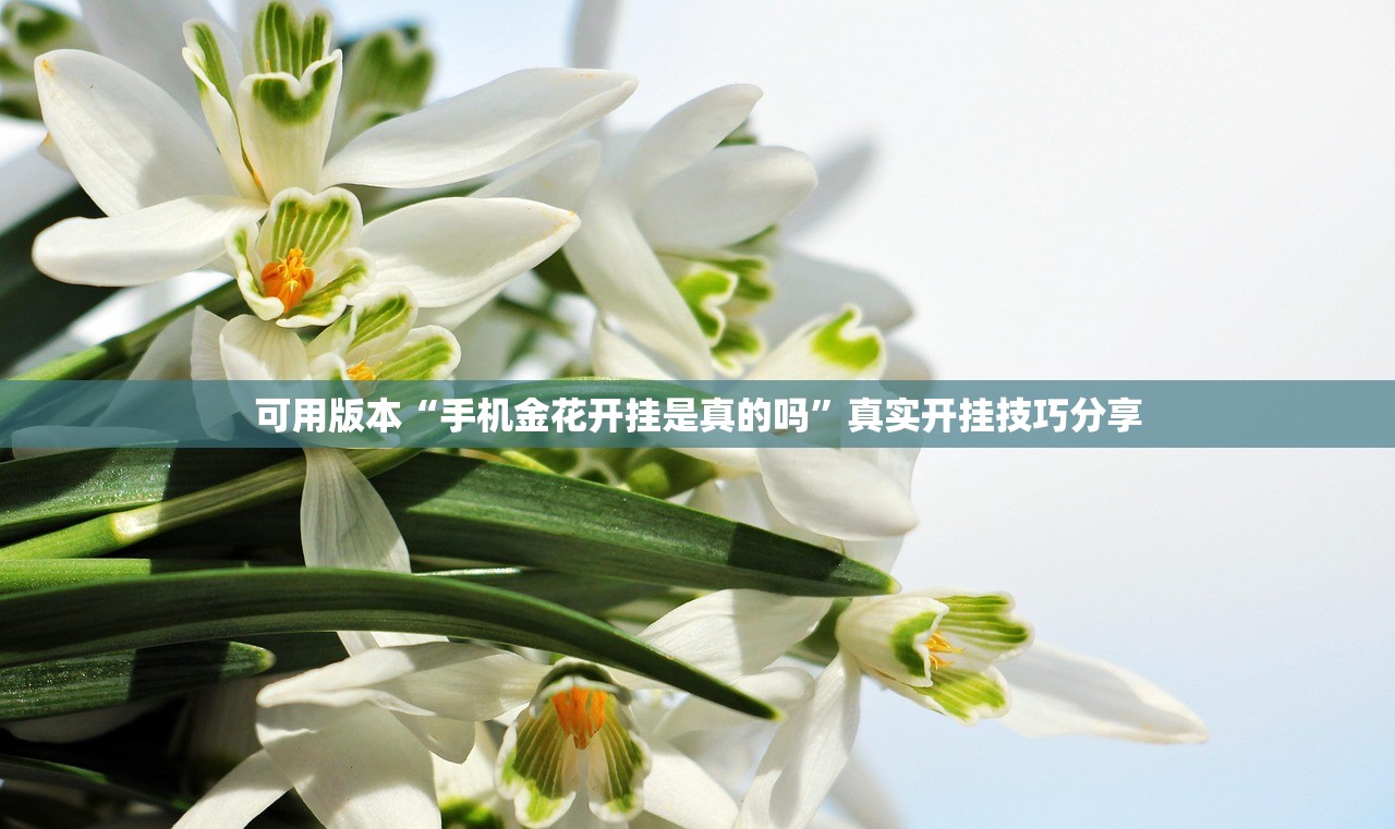 可用版本“手机金花开挂是真的吗	”真实开挂技巧分享