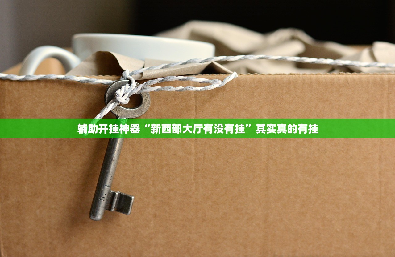 辅助开挂神器“新西部大厅有没有挂	”其实真的有挂
