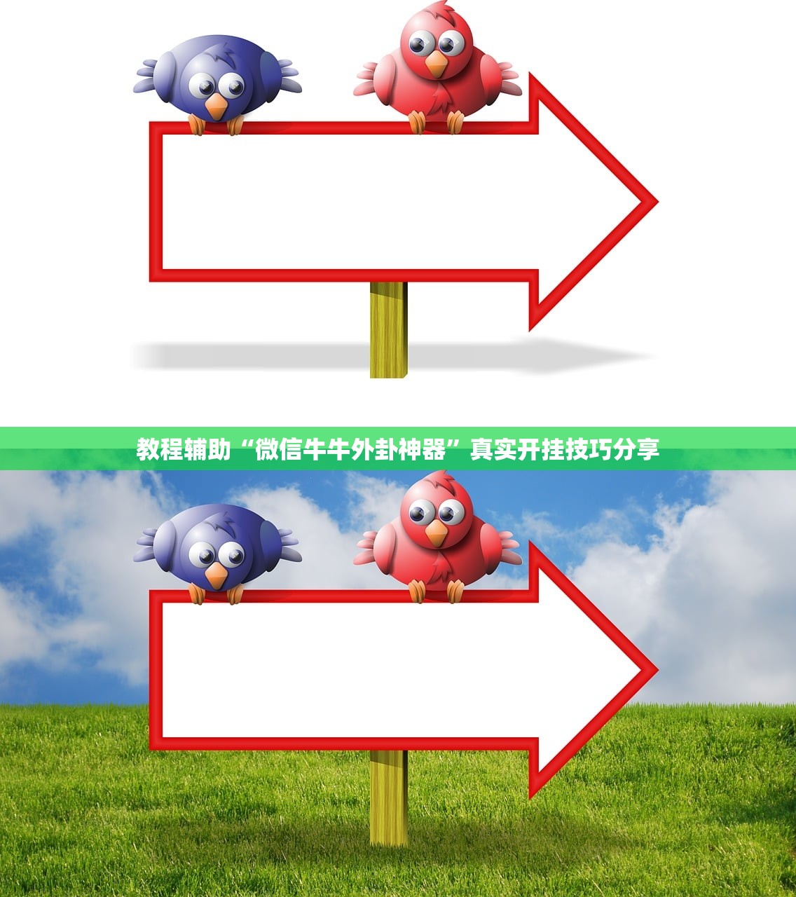 教程辅助“微信牛牛外卦神器”真实开挂技巧分享